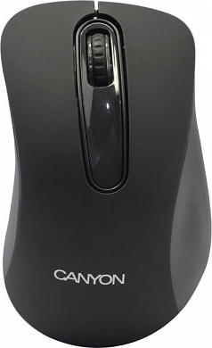 CANYON Wireless Optical Mouse <CNE-CMSW2> (RTL) USB  3btn+Roll